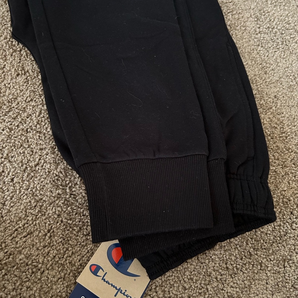 Champion brand joggers/sweatpants